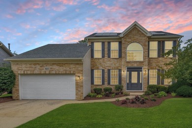 Lake Home For Sale in Oswego, Illinois