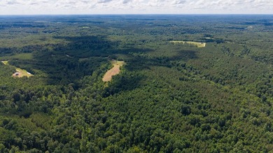 Nestled in the scenic hills of Stewart County, this property - photo 11