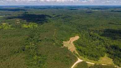 Nestled in the scenic hills of Stewart County, this property - photo 12