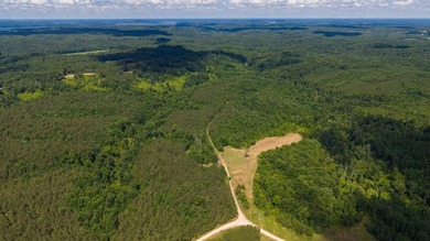 Nestled in the scenic hills of Stewart County, this property - photo 13