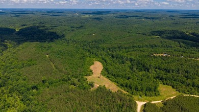 Nestled in the scenic hills of Stewart County, this property - photo 15
