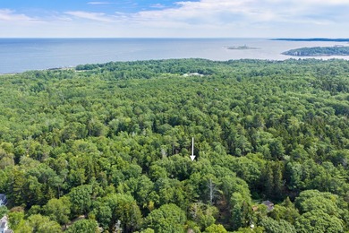 Classic Maine charm meets rare island privacy in this delightful - photo 4