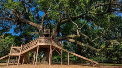 Welcome to 110 Loon Drive in the highly sought-after community - photo 28