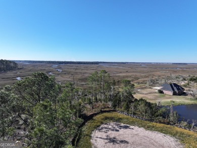 (private lake, pond, coastal) Acreage For Sale in Saint Marys Georgia