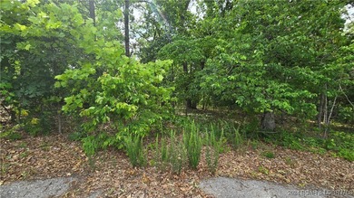 This expansive 5-acre commercial lot boasts exceptional frontage - photo 5