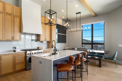 This ski-in/ski-out, contemporary mountainside residence - photo 7