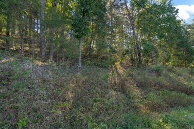 Nolin Lake Lot For Sale in Clarkson Kentucky