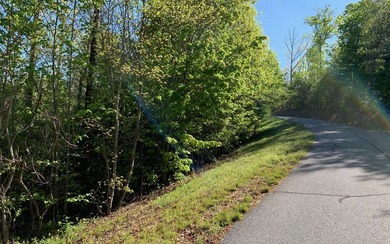 BIG NORTH CAROLINA MOUNTAIN VIEWS!! This 4.02 acre lot offers - photo 11