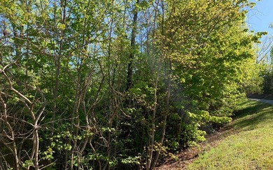 BIG NORTH CAROLINA MOUNTAIN VIEWS!! This 4.02 acre lot offers - photo 12