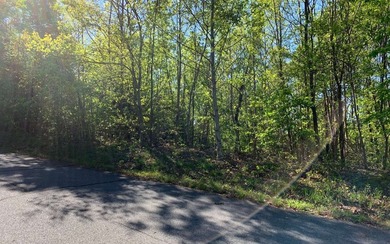 BIG NORTH CAROLINA MOUNTAIN VIEWS!! This 4.02 acre lot offers - photo 13