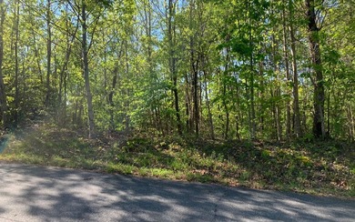 BIG NORTH CAROLINA MOUNTAIN VIEWS!! This 4.02 acre lot offers - photo 14