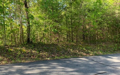 BIG NORTH CAROLINA MOUNTAIN VIEWS!! This 4.02 acre lot offers - photo 15