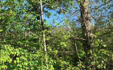 BIG NORTH CAROLINA MOUNTAIN VIEWS!! This 4.02 acre lot offers - photo 16