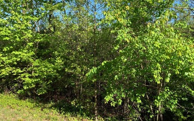 BIG NORTH CAROLINA MOUNTAIN VIEWS!! This 4.02 acre lot offers - photo 18