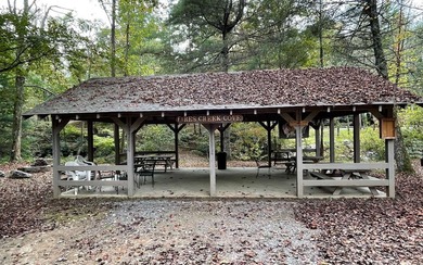 BIG NORTH CAROLINA MOUNTAIN VIEWS!! This 4.02 acre lot offers - photo 19