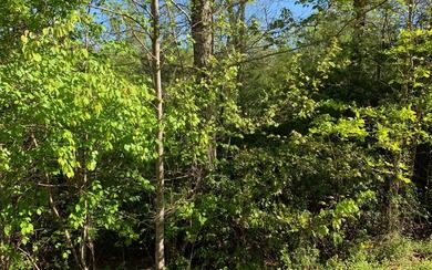 BIG NORTH CAROLINA MOUNTAIN VIEWS!! This 4.02 acre lot offers - photo 20