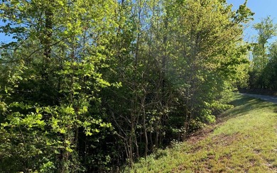 BIG NORTH CAROLINA MOUNTAIN VIEWS!! This 4.02 acre lot offers - photo 22