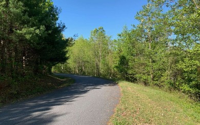 BIG NORTH CAROLINA MOUNTAIN VIEWS!! This 4.02 acre lot offers - photo 23