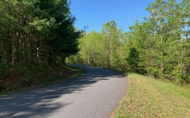 BIG NORTH CAROLINA MOUNTAIN VIEWS!! This 4.02 acre lot offers - photo 24