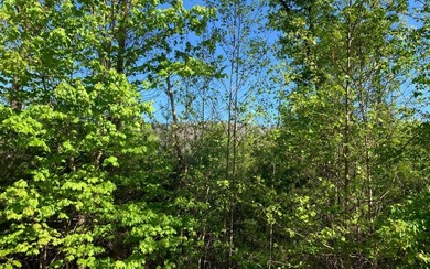 BIG NORTH CAROLINA MOUNTAIN VIEWS!! This 4.02 acre lot offers - photo 25