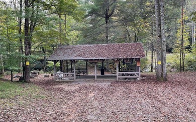 BIG NORTH CAROLINA MOUNTAIN VIEWS!! This 4.02 acre lot offers - photo 26