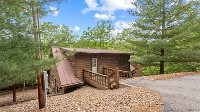 Welcome to 15 acres with over 400 feet of calm waterfront. This - photo 39