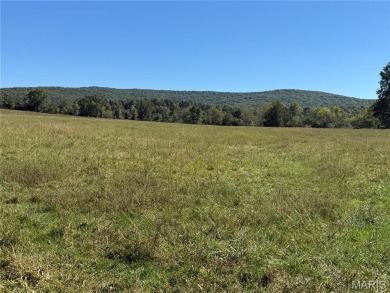 (private lake, pond, creek) Acreage For Sale in Des Arc Missouri