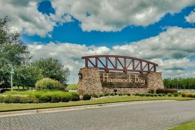 Welcome to 18 W Sky Way in the highly sought-after Hammock Bay - photo 43