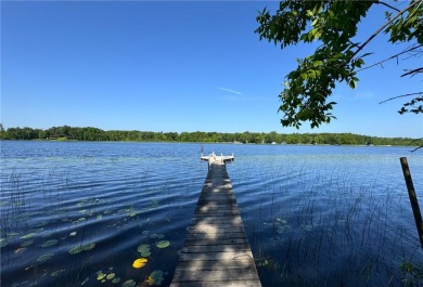 (private lake, pond, creek) Home For Sale in Aitkin Minnesota