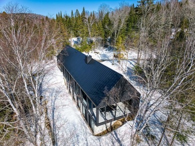 Lake Home For Sale in Saint-Faustin/Lac-Carré,