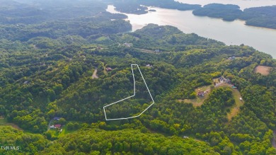 Lake Acreage For Sale in Dandridge, Tennessee