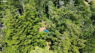Build your dream home on this beautiful 2.34-acre lot in North - photo 3