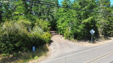 Build your dream home on this beautiful 2.34-acre lot in North - photo 6