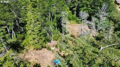 Build your dream home on this beautiful 2.34-acre lot in North - photo 8