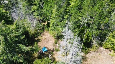 Build your dream home on this beautiful 2.34-acre lot in North - photo 10