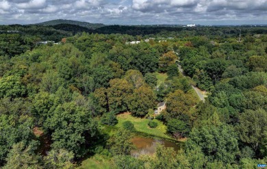 Lake Home For Sale in Charlottesville, Virginia