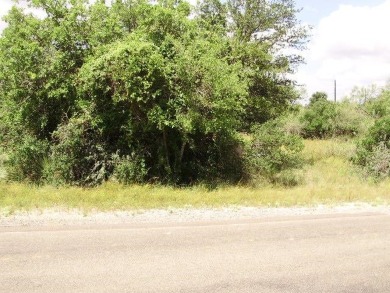 Lake Lot For Sale in Sunrise Beach, Texas