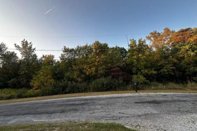 Lake Lot For Sale in Willard, Ohio