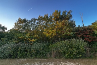 Nearly half-acre buildable lot in Holiday Lakes. Owners enjoy a - photo 5