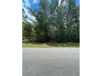 Bonable Lake Lot For Sale in Dunnellon Florida