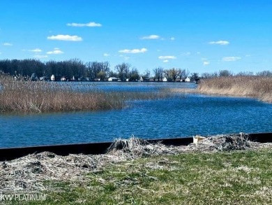 Lake Lot Sale Pending in Harsens Island, Michigan
