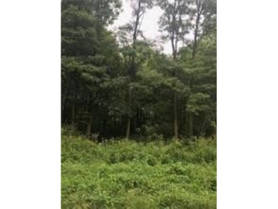 Pymatuning Reservoir Lot For Sale in Jamestown - Cra Pennsylvania