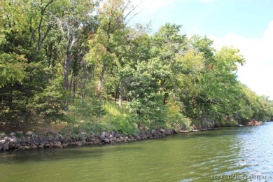 Lake Acreage For Sale in Camdenton, Missouri