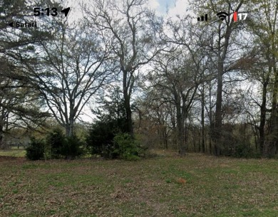 Lake Acreage For Sale in Emory, Texas