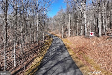 Lake Acreage For Sale in Cleveland, Georgia