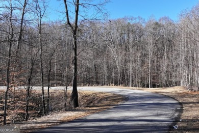 Lake Acreage For Sale in Cleveland, Georgia