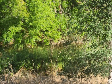 Located across the creek from Tierra Oaks, this level two acre - photo 12