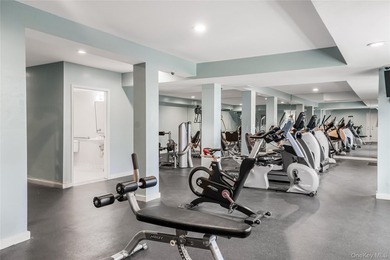 Beautifully renovated 1-bedroom lower-level unit in the - photo 15