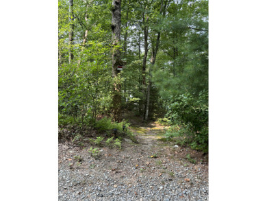 Blue Lake Retreat - photo 6