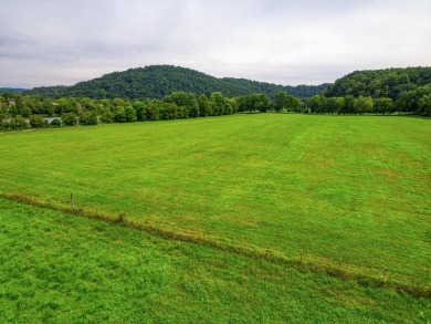 Lake Acreage For Sale in Rogersville, Tennessee